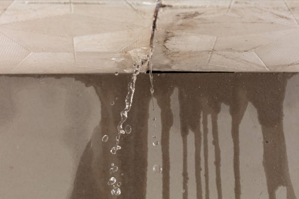 Professional Water Damage Inspection technician working in Mather, CA